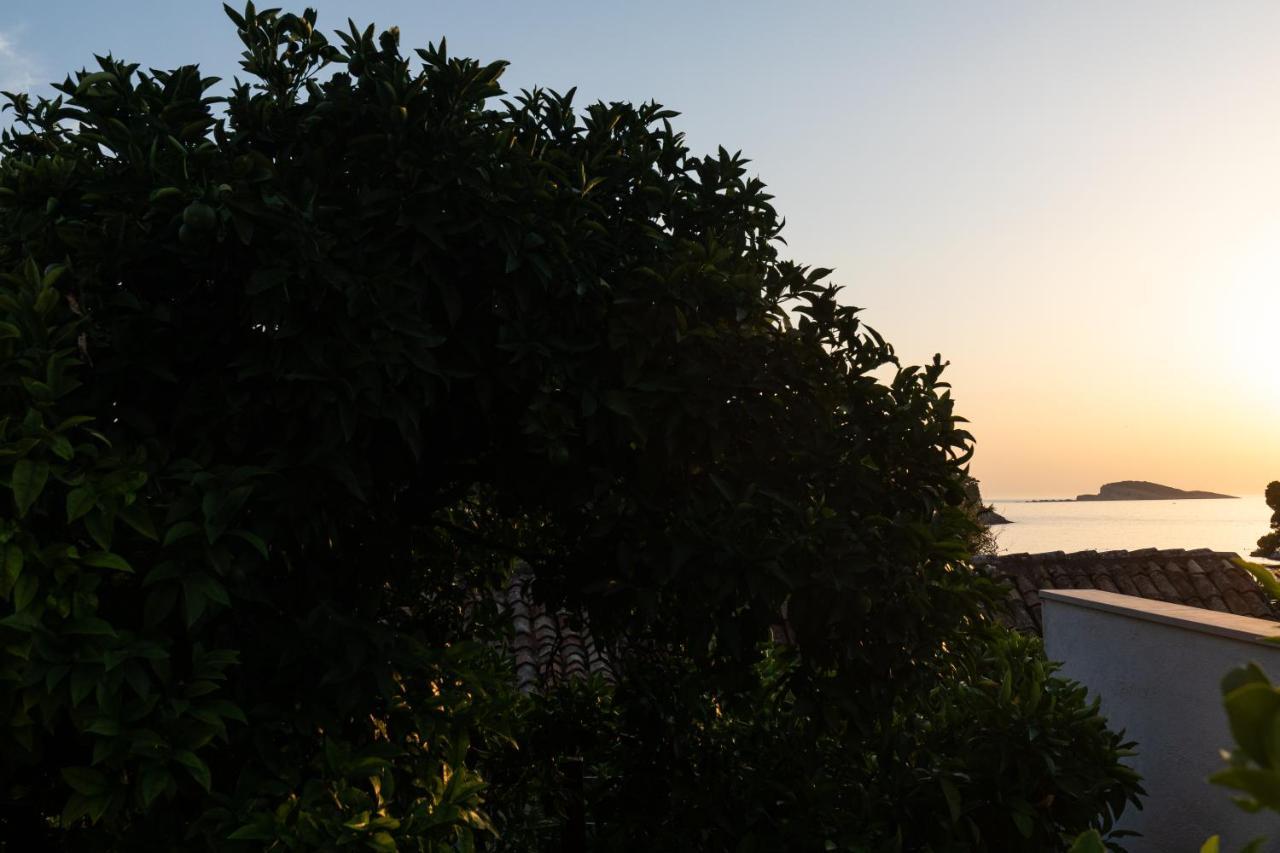 Holiday Home Anamarija Cavtat Exterior photo